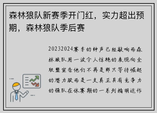 森林狼队新赛季开门红，实力超出预期，森林狼队季后赛