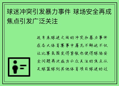 球迷冲突引发暴力事件 球场安全再成焦点引发广泛关注